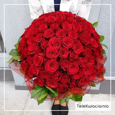 Telekwiaciarnia Stalowa Wola - florystyczna poczta, kwiatowa dostawa
